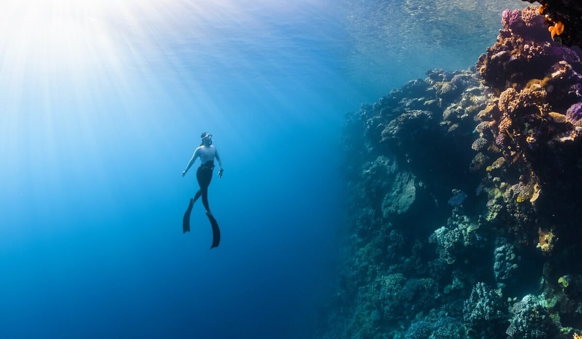 Débuter la plongée au Costa Rica : guide complet